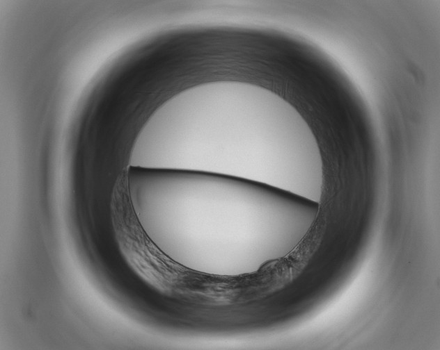 X0000111240143200907021006