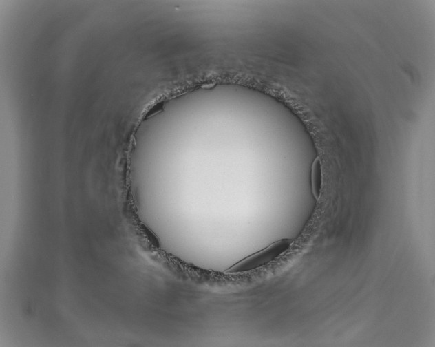 X0000111240144200907021006