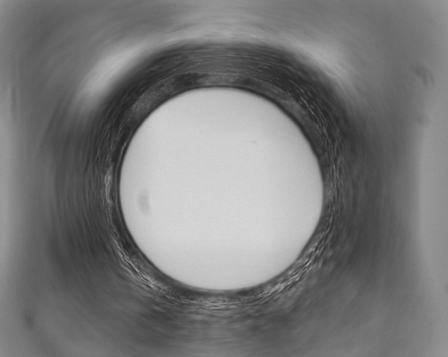 X0000111240146200907021006