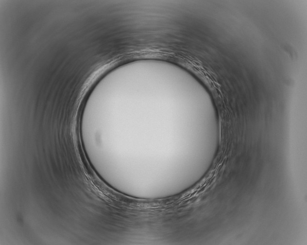 X0000111240147200907021006