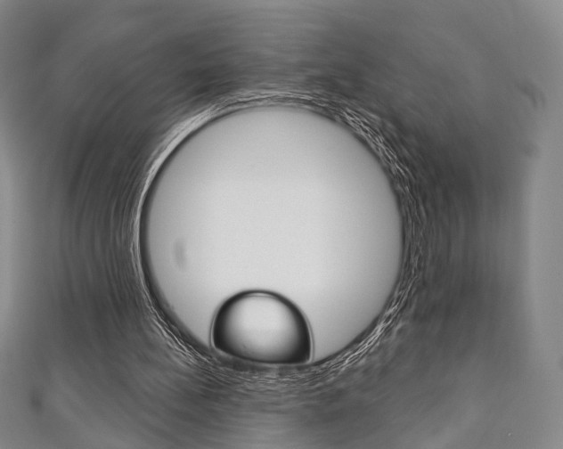 X0000111240148200907021006