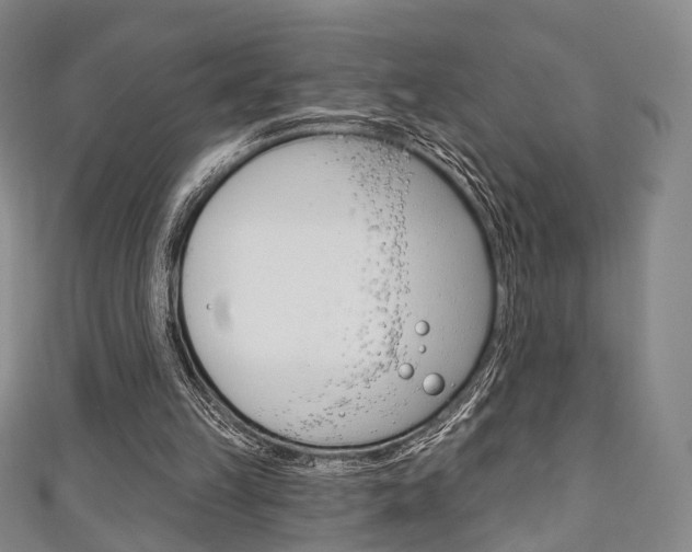 X0000111240149200907021006