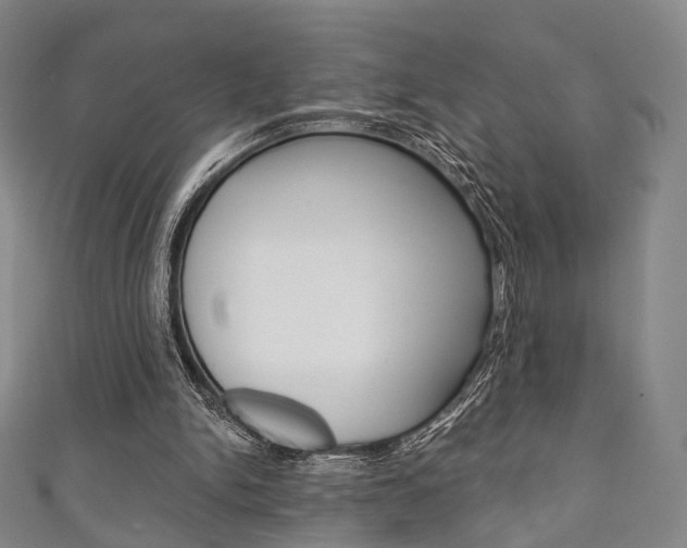 X0000111240150200907021006