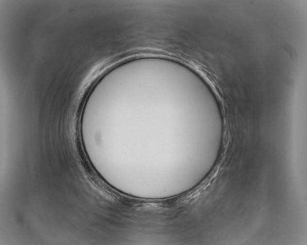 X0000111240151200907021006