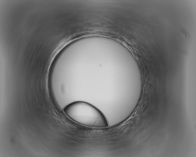 X0000111240152200907021006