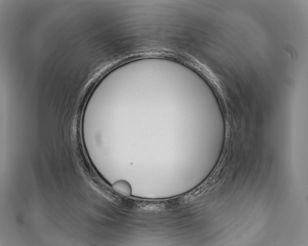 X0000111240155200907021006