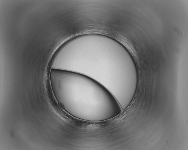X0000111240156200907021006
