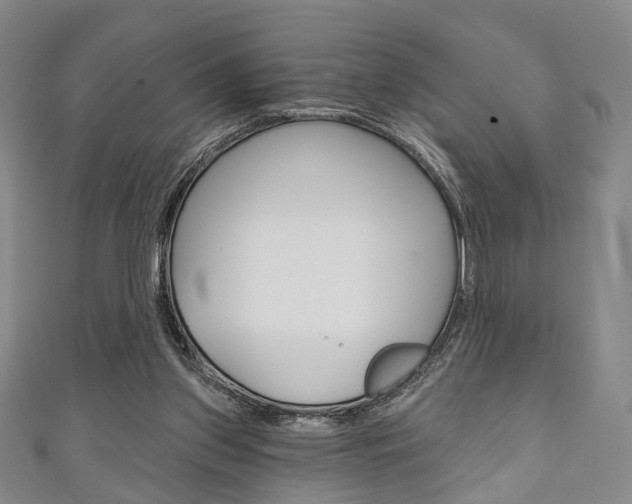 X0000111240157200907021006
