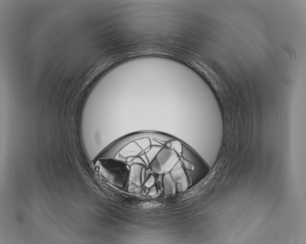 X0000111240158200907021006