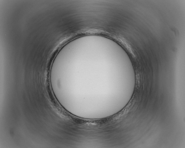 X0000111240159200907021006