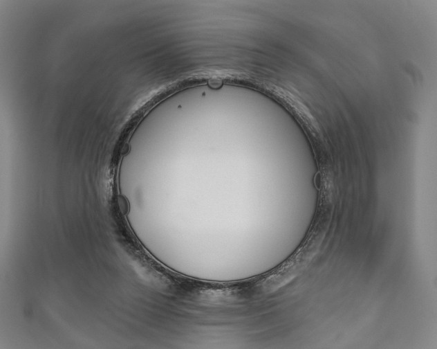 X0000111240160200907021006