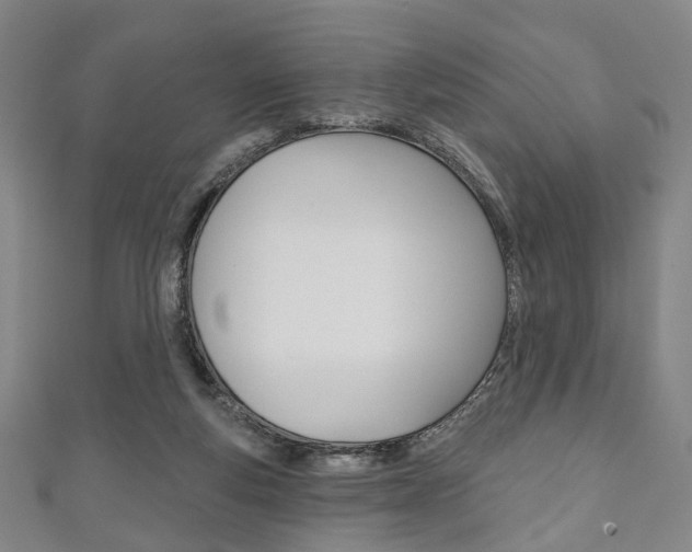 X0000111240163200907021006