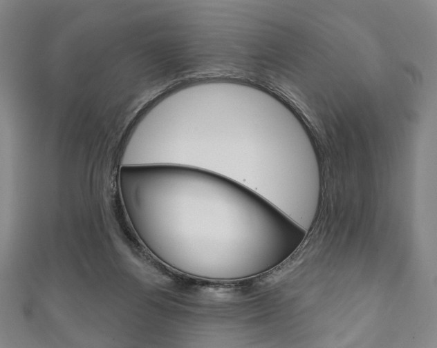 X0000111240164200907021006