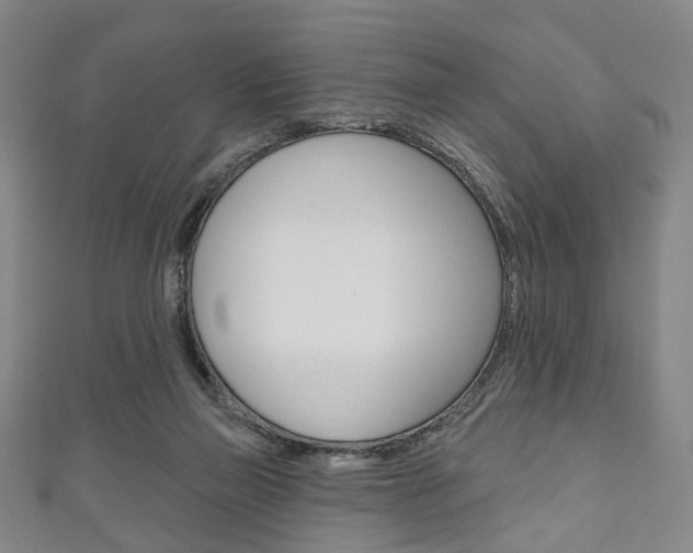 X0000111240165200907021006