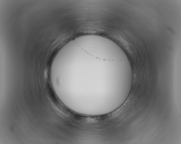 X0000111240166200907021006