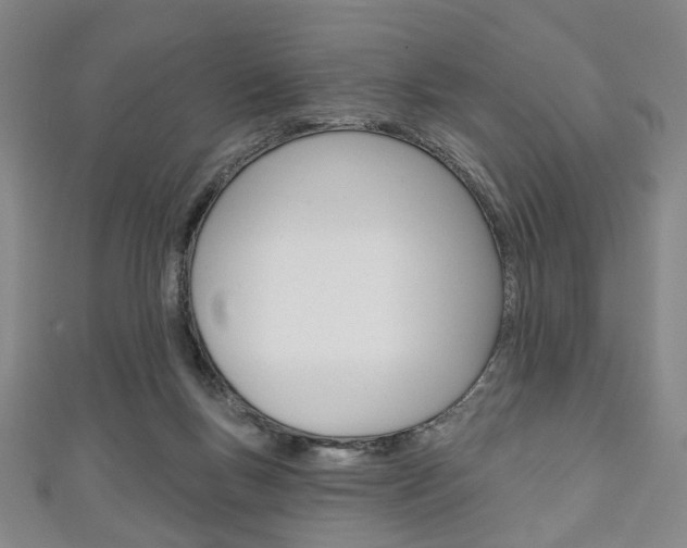 X0000111240167200907021006