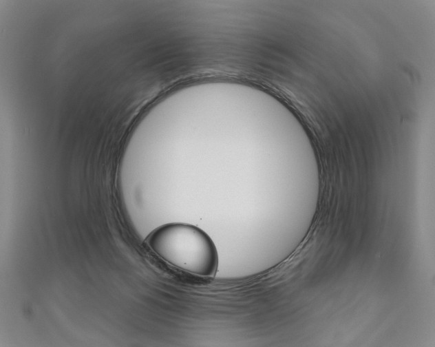 X0000111240168200907021006