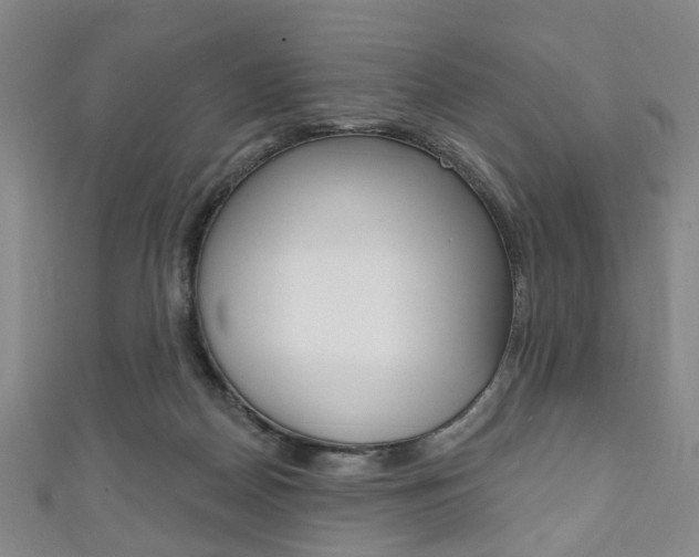 X0000111240170200907021006