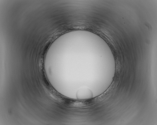 X0000111240171200907021006