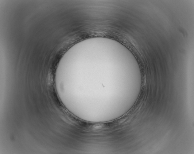 X0000111240173200907021006