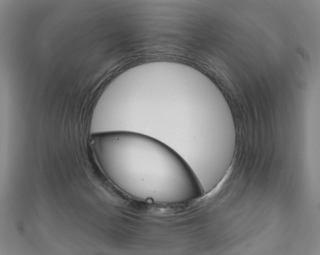 X0000111240174200907021006