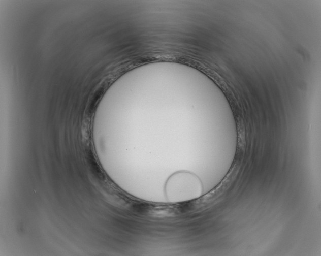 X0000111240175200907021006