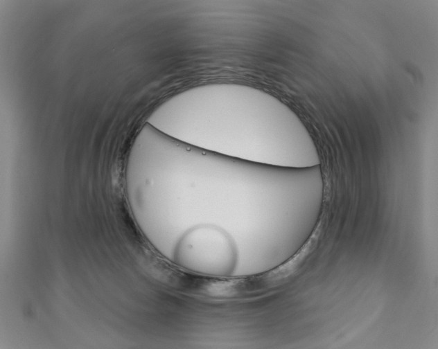 X0000111240178200907021006