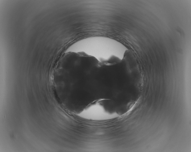 X0000111240179200907021006