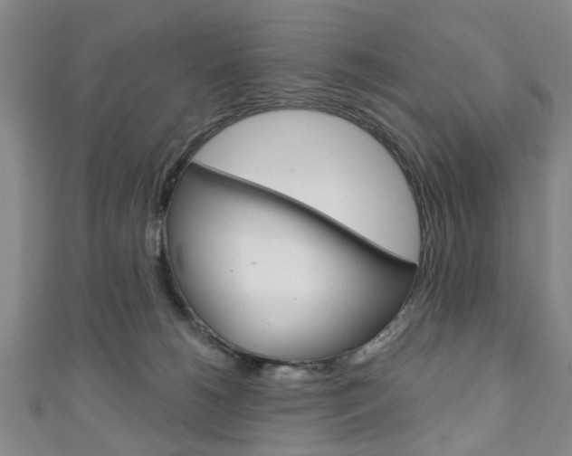 X0000111240180200907021006