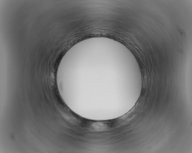 X0000111240183200907021006