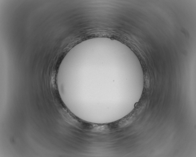X0000111240185200907021006