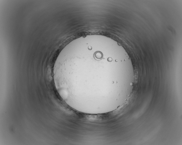 X0000111240187200907021006