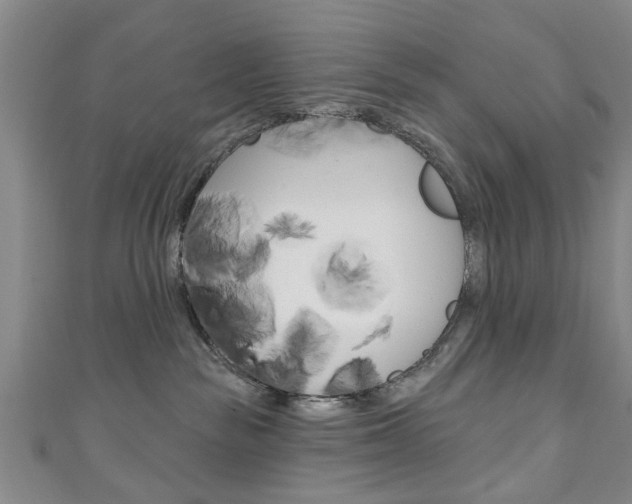 X0000111240189200907021006