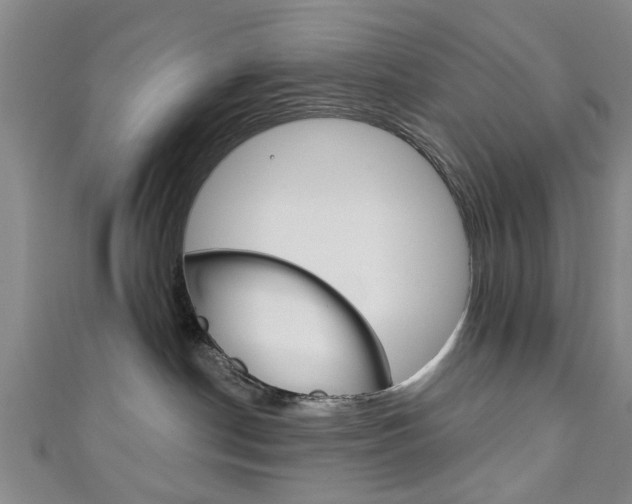 X0000111240190200907021006
