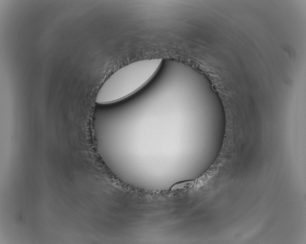 X0000111240192200907021006