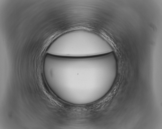 X0000111240193200907021006