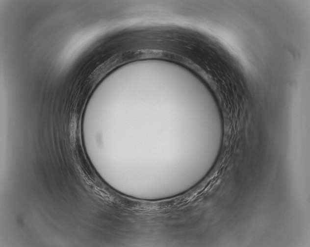 X0000111240194200907021006