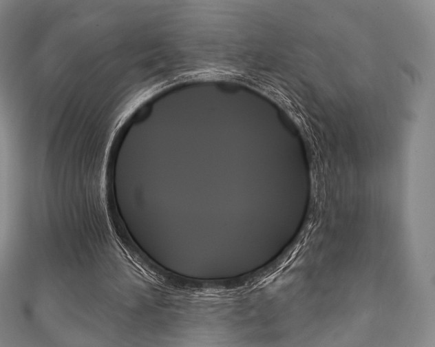 X0000111240196200907021006
