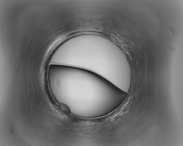 X0000111240197200907021006
