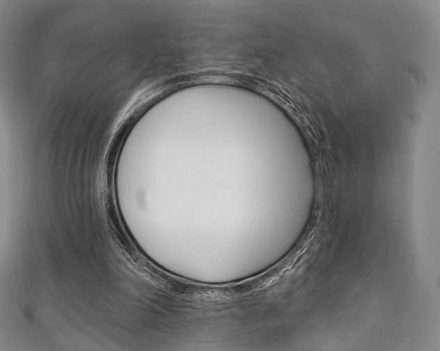 X0000111240198200907021006