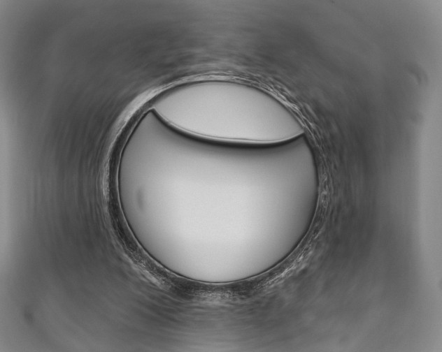 X0000111240200200907021006