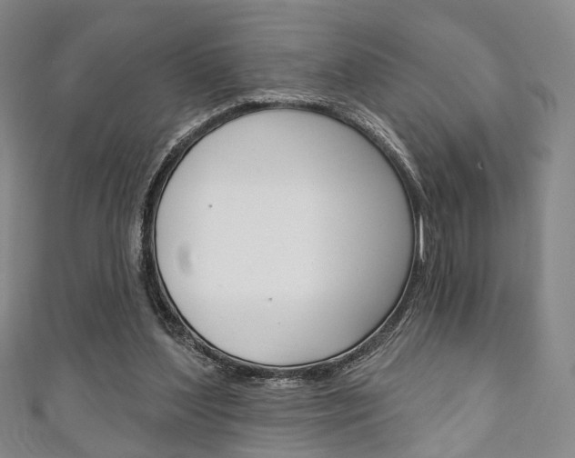 X0000111240204200907021006