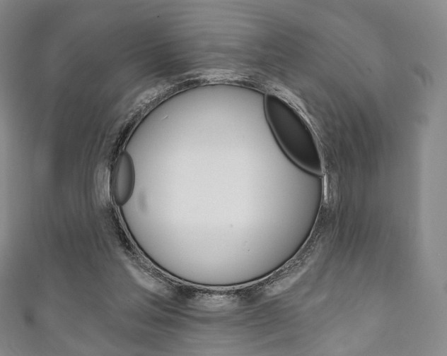 X0000111240205200907021006