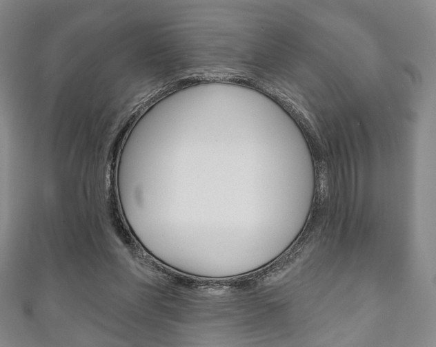 X0000111240206200907021005