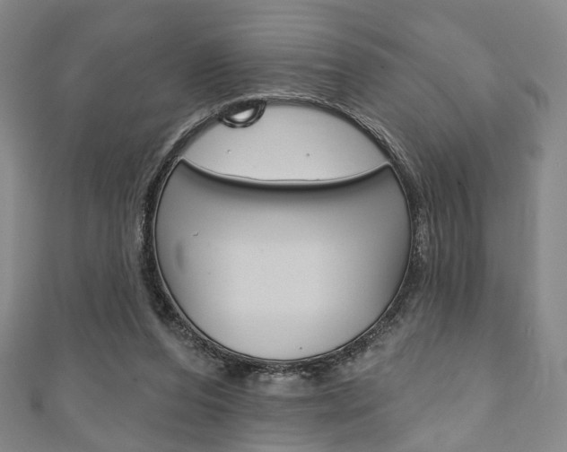 X0000111240208200907021005