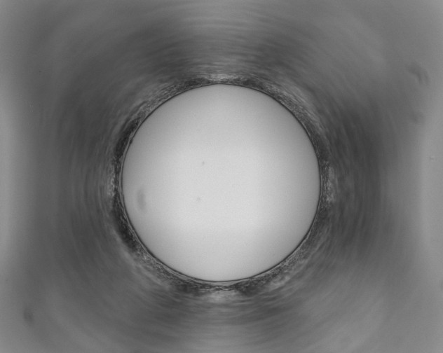 X0000111240210200907021005