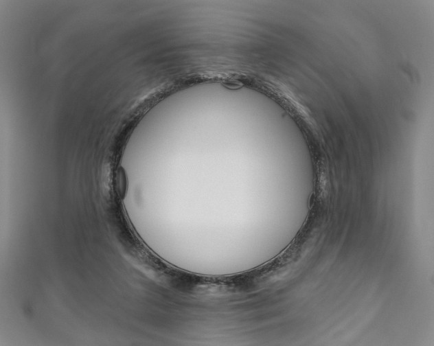 X0000111240211200907021005
