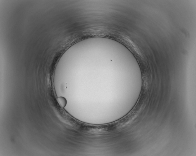 X0000111240213200907021005