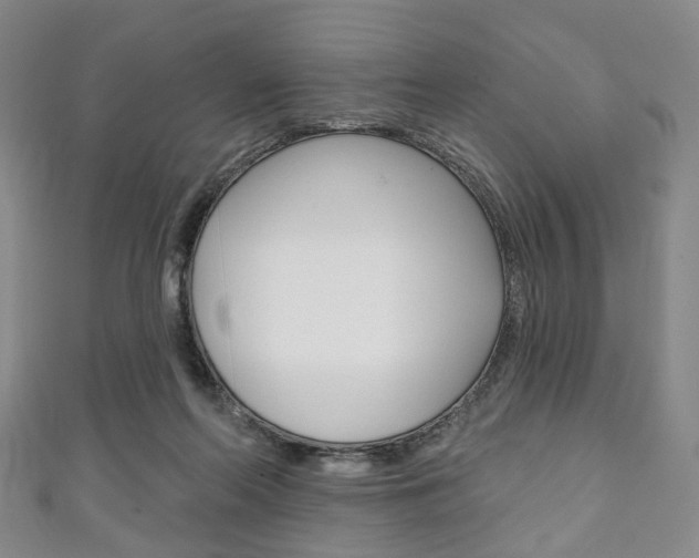 X0000111240214200907021005