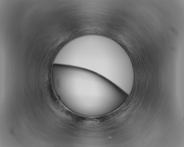 X0000111240215200907021005